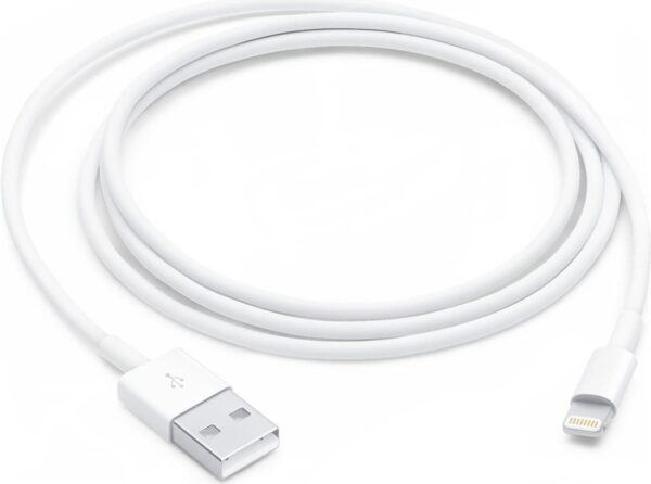Apple - Lightning-Kabel - Lightning männlich zu USB männlich - 1 m (MUQW3ZM/A)