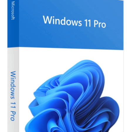 Microsoft Windows 11 Pro