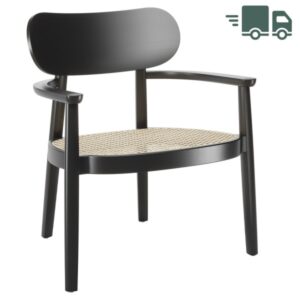 THONET 119 F Holzstuhl mit Armlehnen | Rohrgeflecht-Sitz | Buche gebeizt schwarz4066962005961