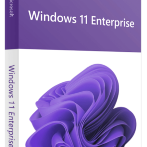 Microsoft Windows 11 Enterprise0787976989972