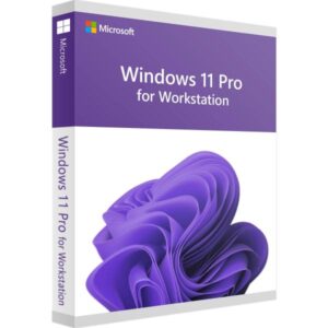 Microsoft Windows 11 Pro for Workstation0889842906349