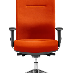 MyChair L mit Kopfstütze4250416808684