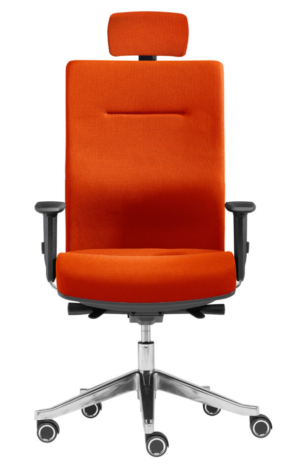 MyChair L mit Kopfstütze4250416808684